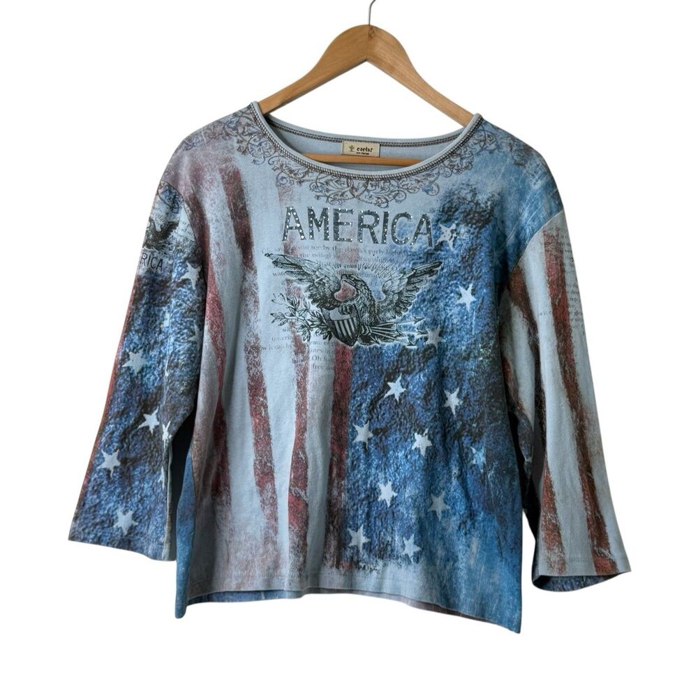 Cactus Top XXL American Flag All Over Print Rhinestone Graphic Print USA Y2K 2XL